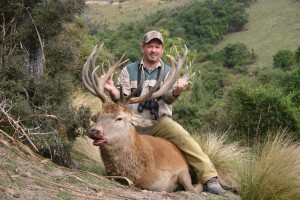 Silver Stag #2