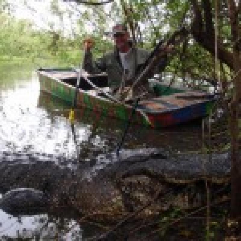 Hetha Gator