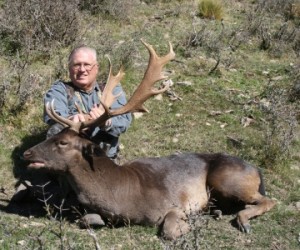 Dave Ekkebus NZ Fallow Deer 2009