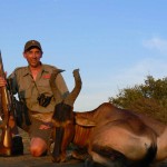Baker Red Hartebeest Africa