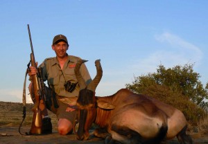 Paul Baker Red Hartebeest Africa