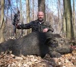 hethal__pig_web