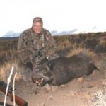 Ekkebusdarg_boar_web