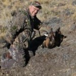 Ekkebusdarg_mouflon_web