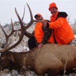 Ackerb Elk 2009