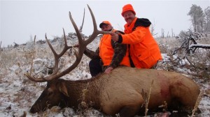 Bill Acker Colo Elk 2009