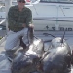 crippsg_sharks_web