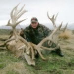 Procknow leon_stag_1_web