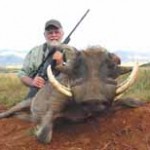 loyd_warthog