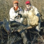 malone_Canadian moose_web