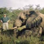 olsonjsmoke_jon_elephant