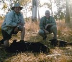 zimmerman_hogs
