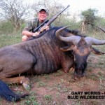 Gary Morris Blue Wildebeest
