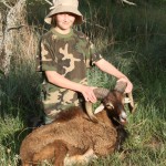 Hannah Dolgner Corsican Ram